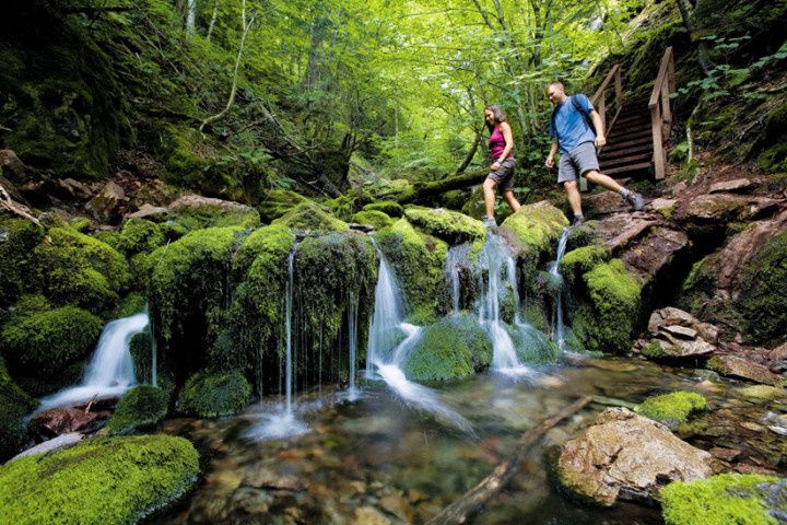 Tourism New Brunswick