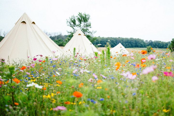 Moonlight Glamping