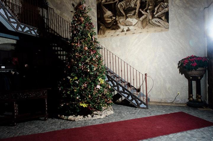 Christmas wedding tree