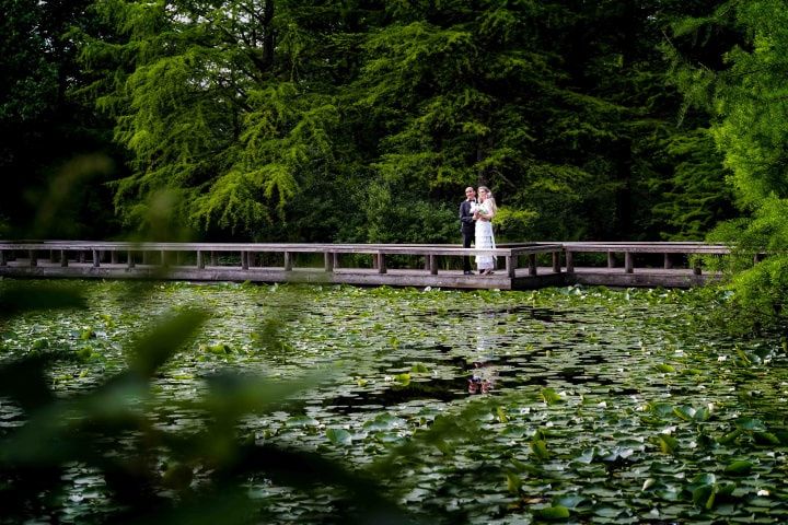 How to Plan an Eco-Friendly Wedding in Vancouver