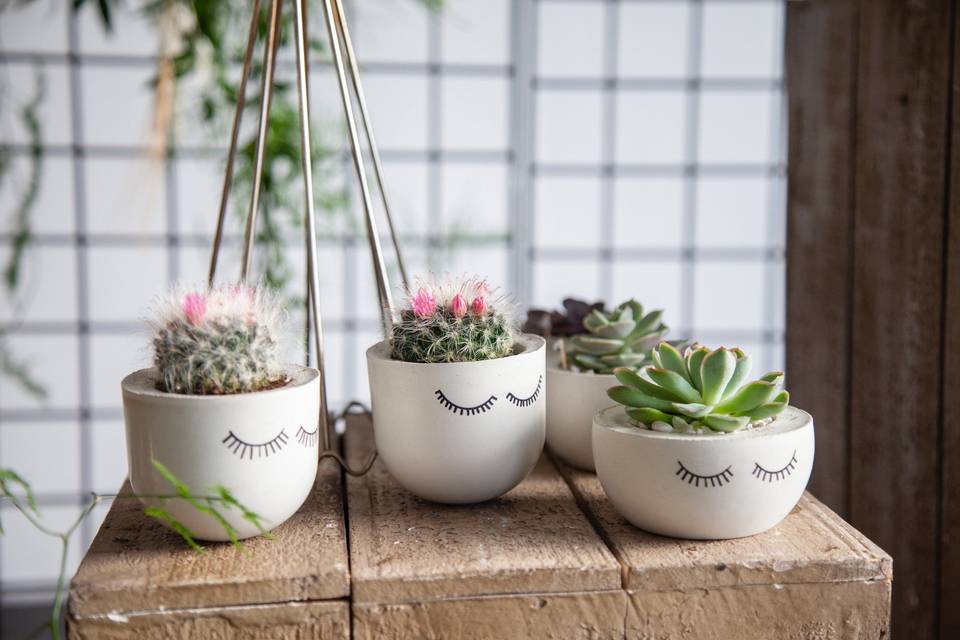 10 Creative Ways to Use Cacti and Succulents in Your Wedding Decor