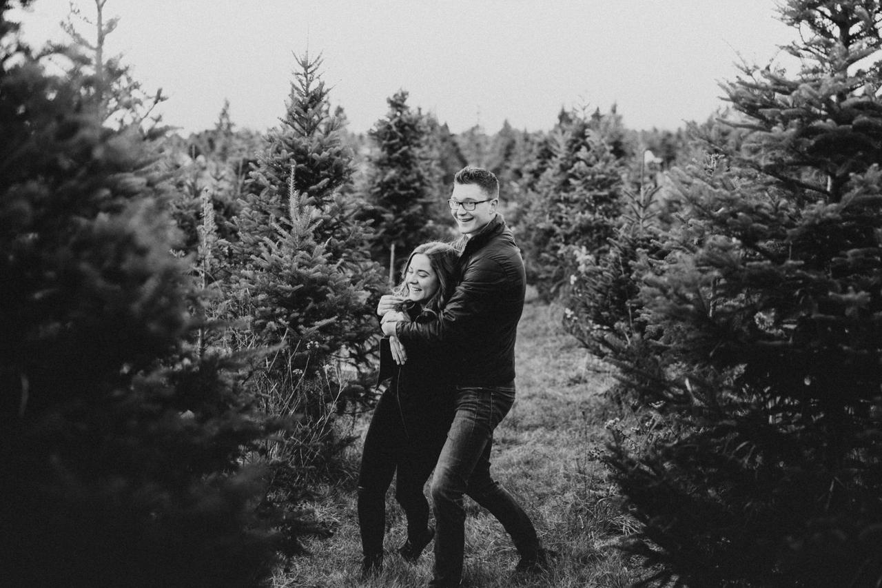 Christmas tree farm