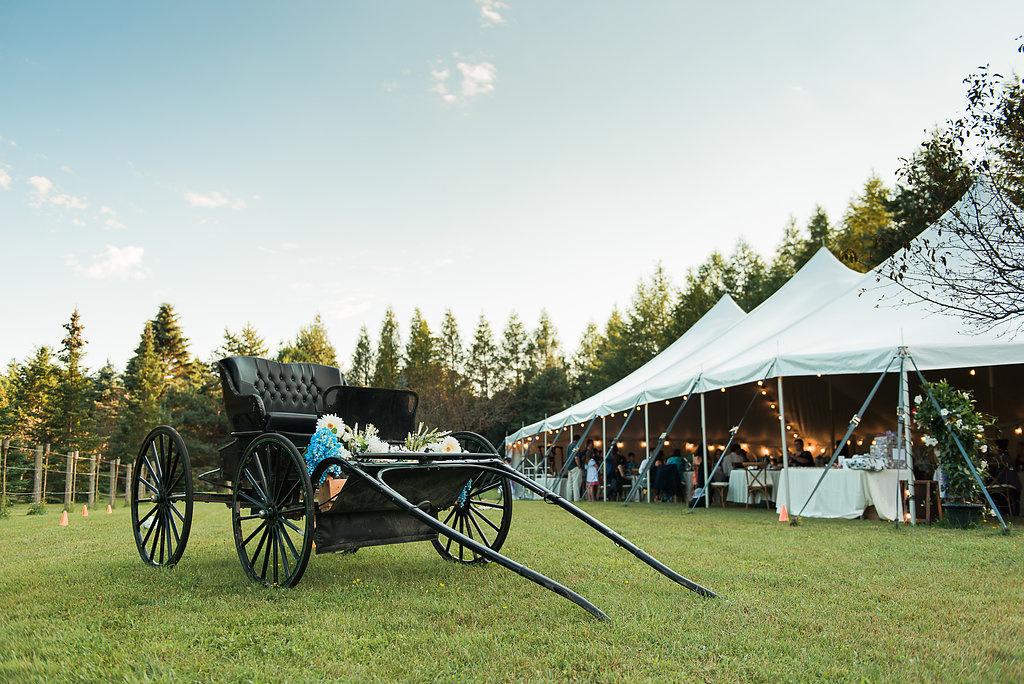 Ontario Outdoor Wedding Venue - Erin Estates