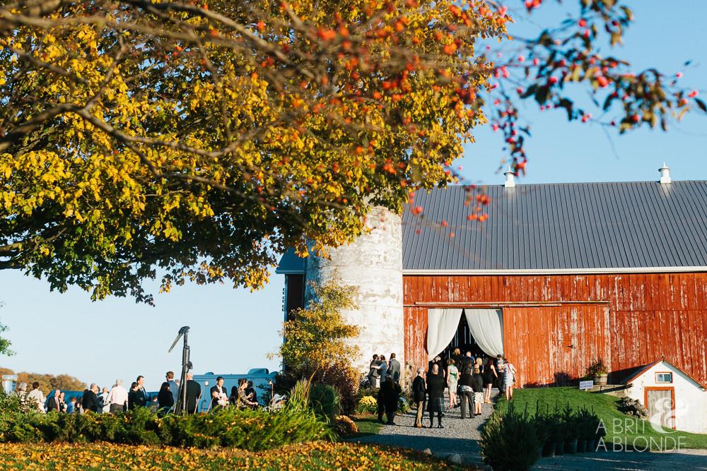 Outdoor farm wedding venue