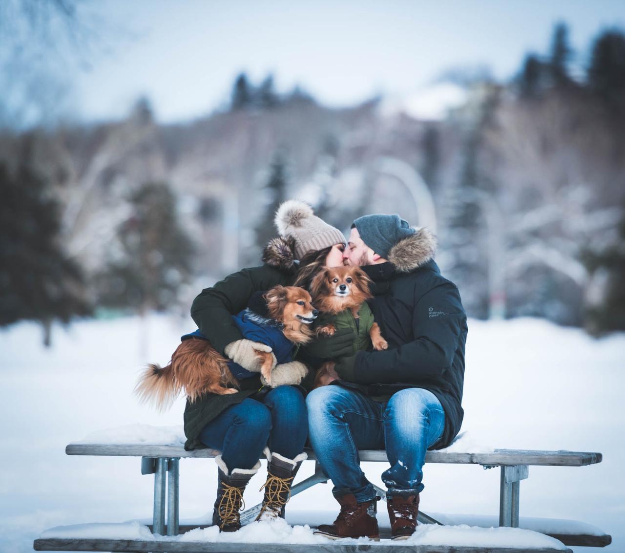 Winter Engagement Photoshoot Ideas at Huyck Preserve - Courtney Stannard  Photography