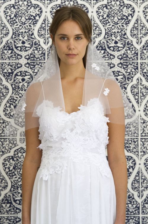 Toto, Grace Loves Lace