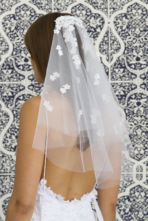 Toto, Grace Loves Lace