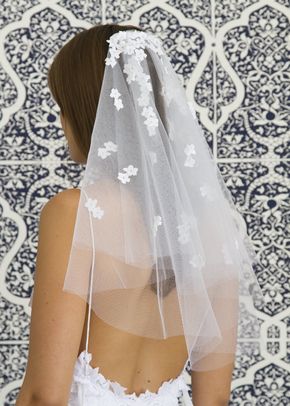 Toto, Grace Loves Lace