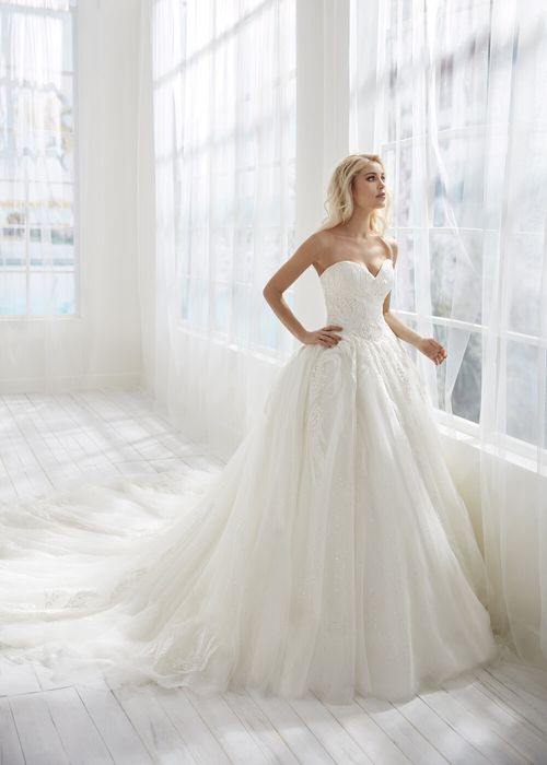 BELLE, Randy Fenoli