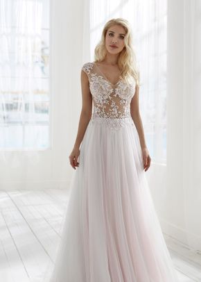 BELLAROSE, Randy Fenoli