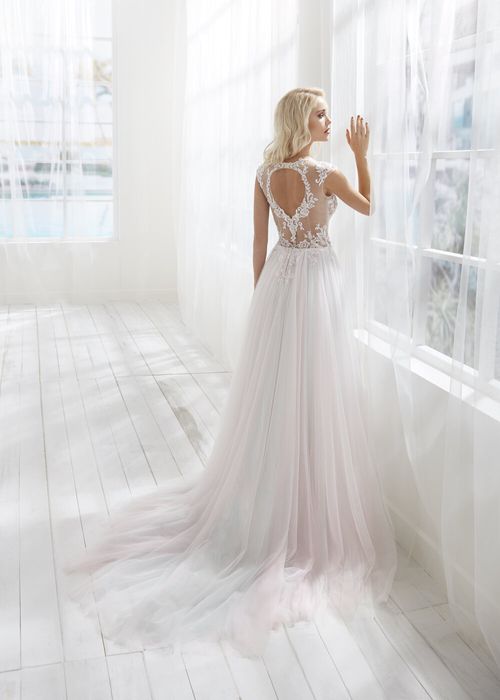 BELLAROSE, Randy Fenoli