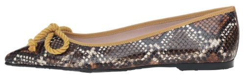 Ella mustard snake, Pretty Ballerinas