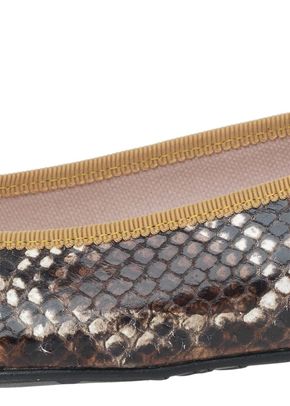 Ella mustard snake, Pretty Ballerinas