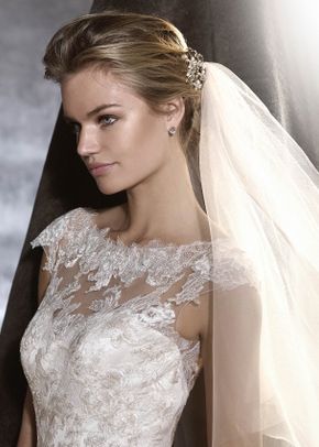 ODINE, Pronovias