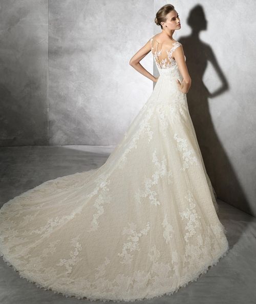 TAMI, Pronovias