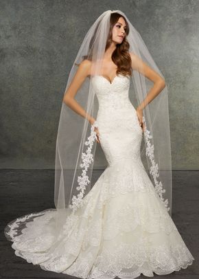 VL1041 b, Morilee