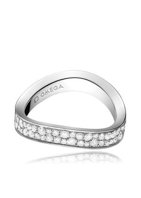 R43BCA05003XX, Omega