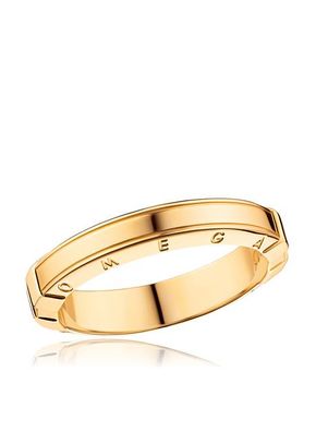 R48BBA01001XX, Omega