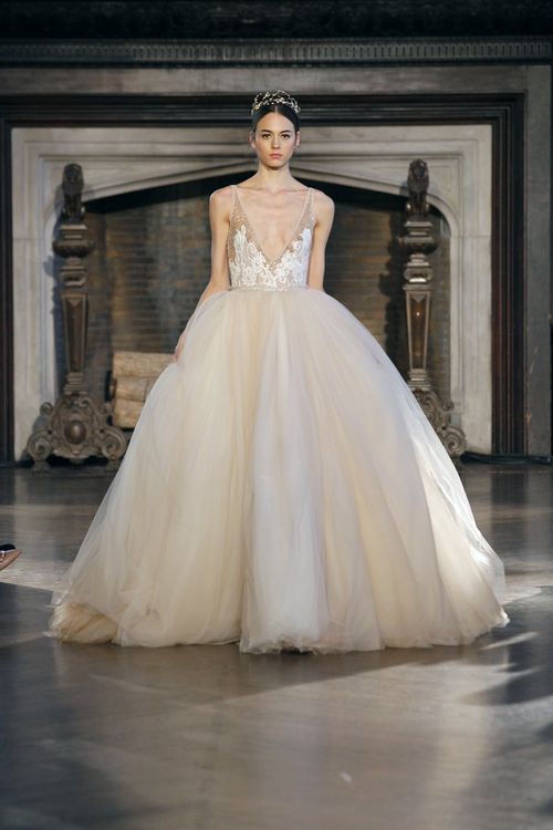 br 15 23, Inbal Dror