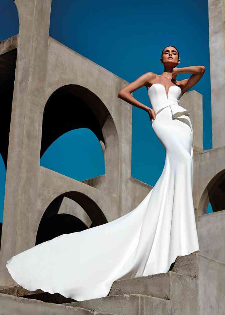 pronovias wilder dress