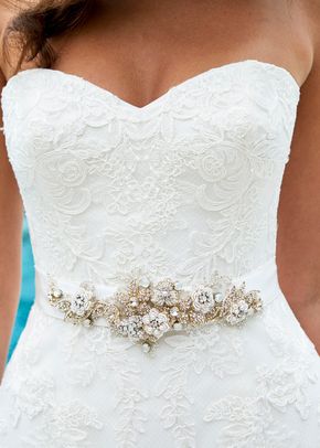 Belt_A-D_Silver_Gold, 211