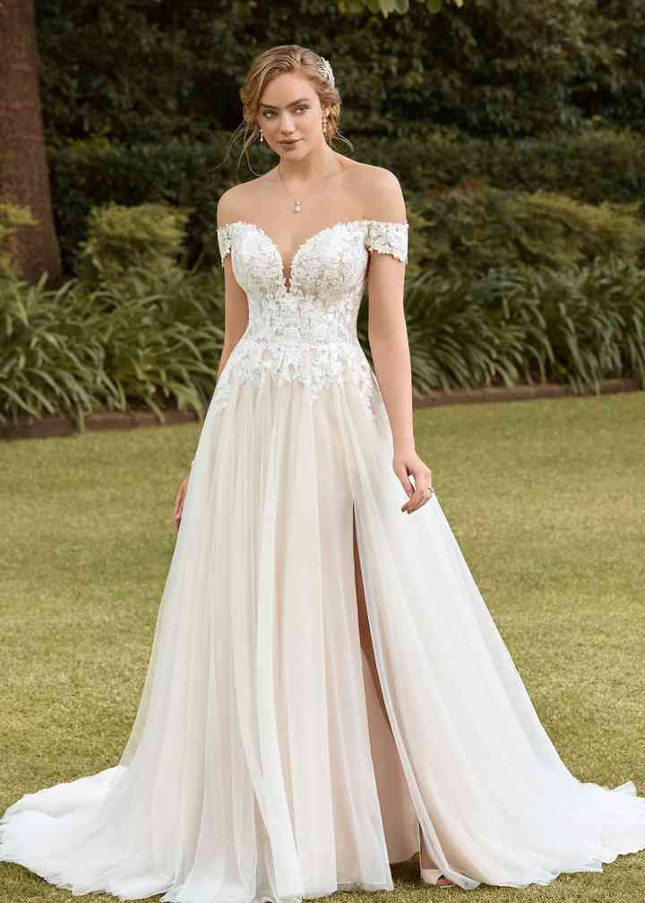 sophia tolli 2021