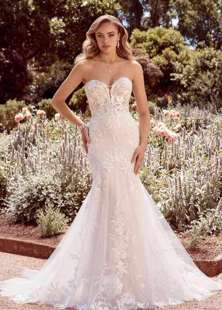 sophia tolli 2021