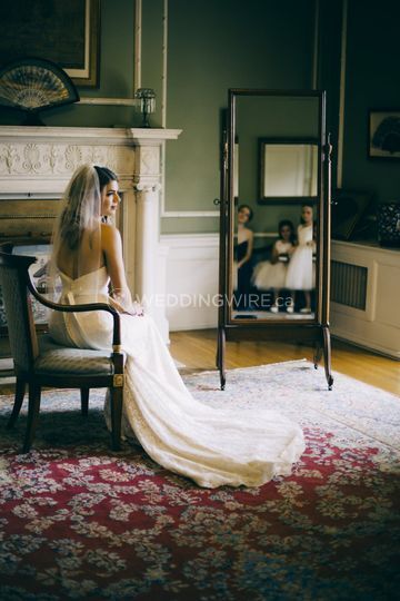 Two Tiny Elephants Photography