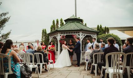 Robin's Weddings