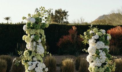 Dusk & Dawn Designs