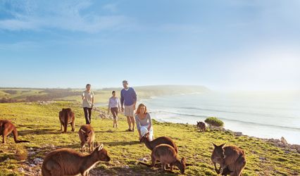 Downunder Travel