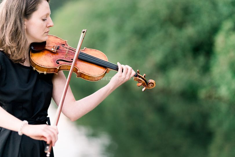 Violin for your Wedding