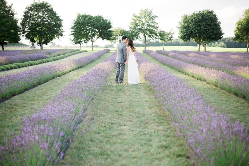 Meghan Elizabeth Photography