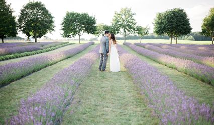 Meghan Elizabeth Photography