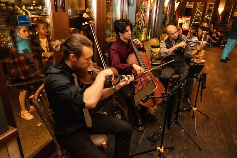 Bel Canto Strings