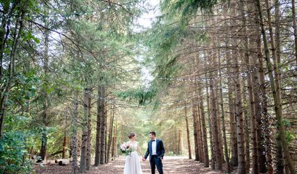 Brian Ly Photography