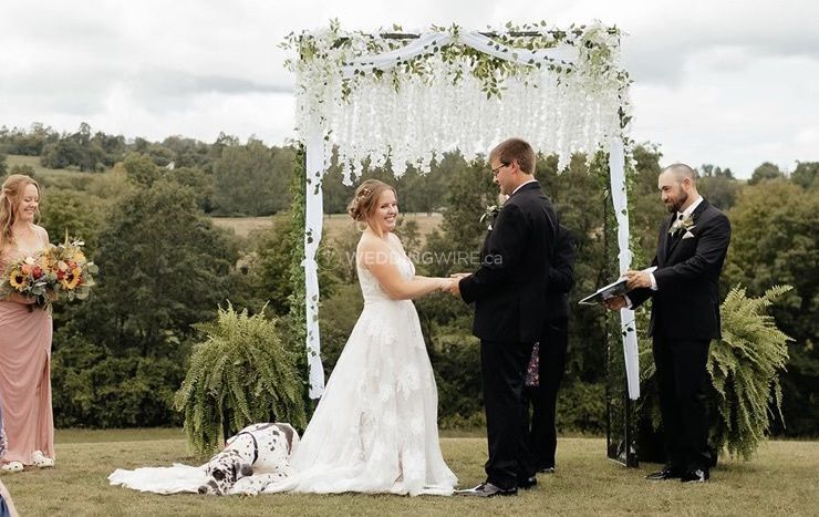 Brighton Backyard Blooms