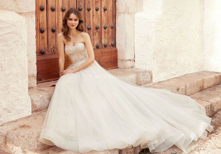 Paula's Elegant Bride