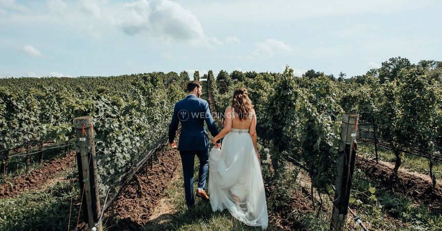Ravine Vineyard