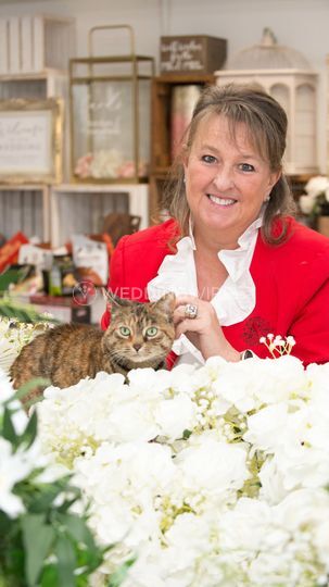 Dreams to Reality - Anita's Events