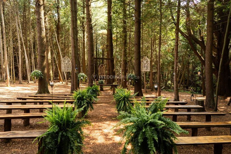 Whispering Springs Wilderness Retreat