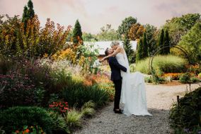 VidMedia Cinema & Photography