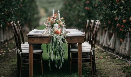 Paulina Stevens Photography
