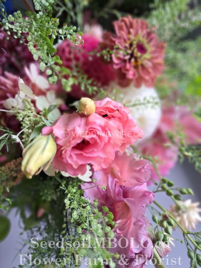 Seeds of Imbolc Flower Farm & Florist