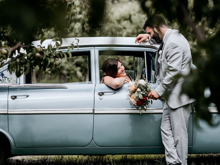 Neil Slattery Photography