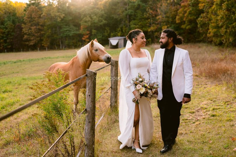 Renee Brock Photography