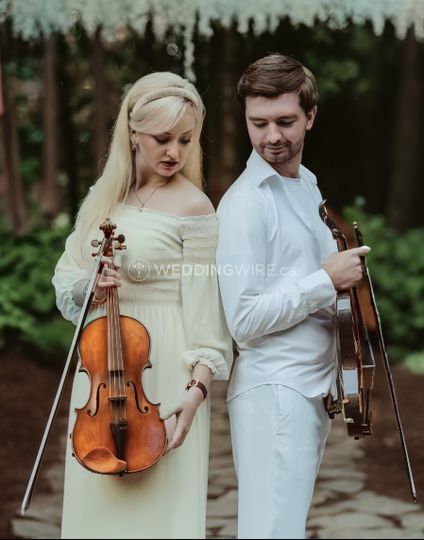 ViolaSet