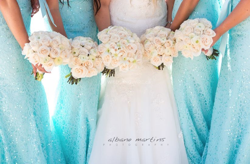 Albano Martins Photography