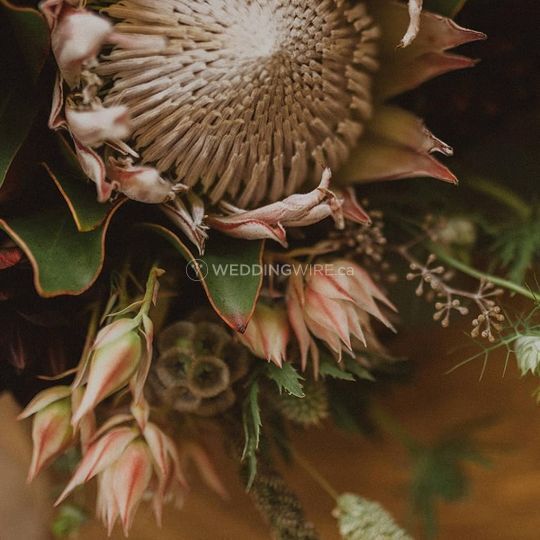 Grasslands Flower Co.