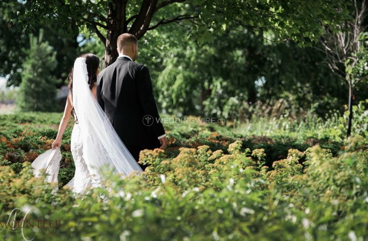 Lisa Mounteer Photography
